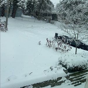 Meet your Posher, Chia-hui